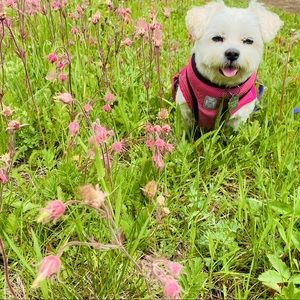 Meet your Posher, Nora